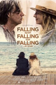 Falling Online En Netflix