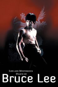 Bruce Lee La Maldicion del Dragon 1993 Online En Netflix