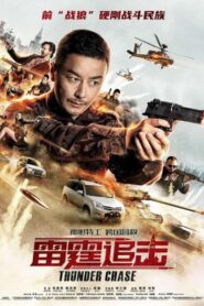 雷霆追击 Online En Netflix