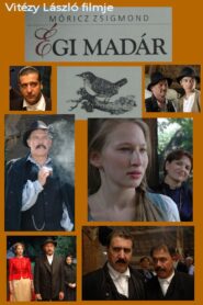 Égi madár Online En Netflix