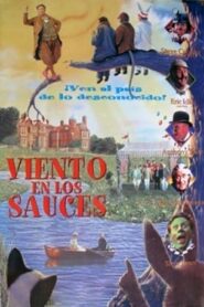 The Wind in the Willows Online En Netflix