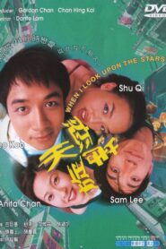 天旋地戀 Online En Netflix