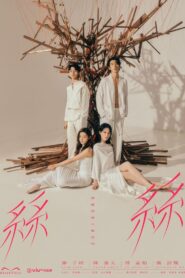 瑪嘉烈與大衛系列 絲絲 2024 En Netflix