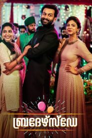 ബ്രദേർസ് ഡേ Online En Netflix