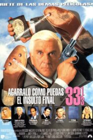 ¿Y dónde está el policía? 33⅓: El insulto final Online En Netflix