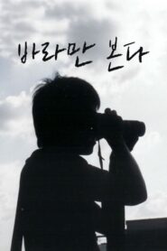 바라만 본다 Online En Netflix