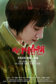 我们的青春岁月 Online En Netflix