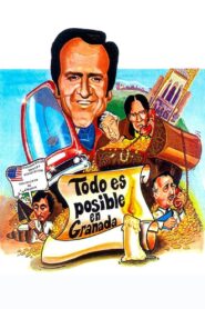 Todo es posible en Granada Online En Netflix