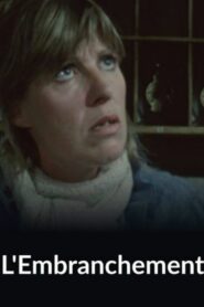 L’embranchement Online En Netflix