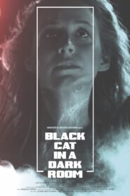 Black Cat in a Dark Room Online En Netflix