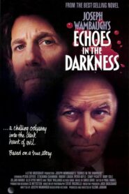 Echoes in the Darkness Online En Netflix
