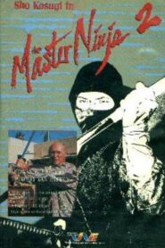 Master Ninja II Online En Netflix