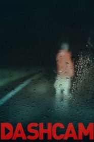 Dashcam Online En Netflix