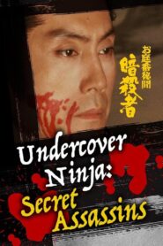 お庭番秘聞　暗殺者 Online En Netflix
