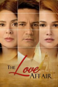 The Love Affair Online En Netflix