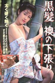 黒髪 襖の下張り Online En Netflix