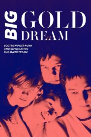 Big Gold Dream: Scottish Post-Punk and Infiltrating the Mainstream Online En Netflix
