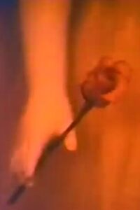 My collections Online En Netflix