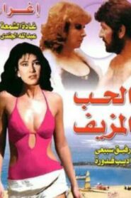 الحب المزيف Online En Netflix