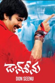 డాన్ శీను Online En Netflix