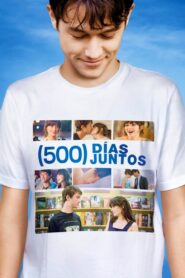 (500) días con ella Online En Netflix