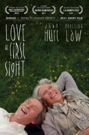 Love at First Sight Online En Netflix