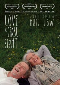 Love at First Sight Online En Netflix