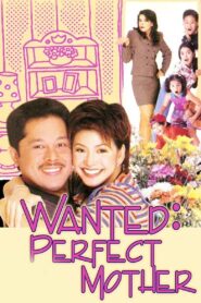 Wanted: Perfect Mother Online En Netflix