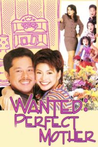 Wanted: Perfect Mother Online En Netflix