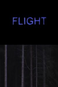 Flight Online En Netflix