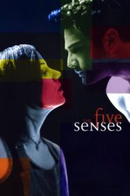 The Five Senses Online En Netflix