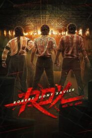 ആര്‍ഡിഎക്സ്: റോബര്‍ട്ട് ഡോണി സേവ്യര്‍ Online En Netflix