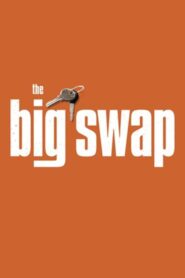The Big Swap Online En Netflix