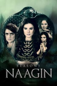 Naagin 2017 En Netflix