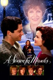 A Season for Miracles Online En Netflix