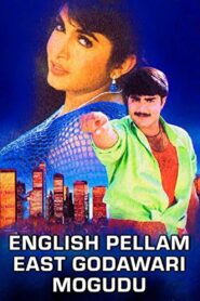 English Pellam East Godavari Mogudu Online En Netflix
