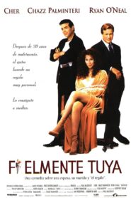 Faithful Online En Netflix