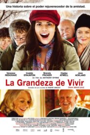 How About You… Online En Netflix