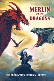 Merlin and the Dragons Online En Netflix