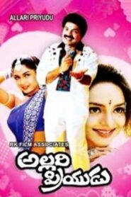 Allari Priyudu Online En Netflix