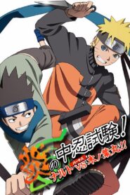 Naruto Shippuden 10: ¡Ardiente Examen Chūnin! ¡Naruto VS Konohamaru! Online En Netflix