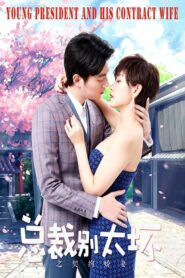 总裁别太坏之契约娇妻 Online En Netflix