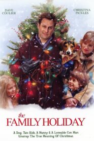 The Family Holiday Online En Netflix