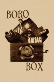 Boro in the Box Online En Netflix