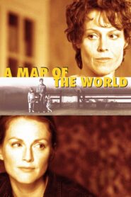 A Map of the World Online En Netflix