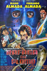 Rafaga de plomo Online En Netflix