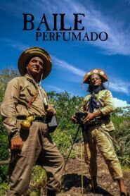 Baile Perfumado Online En Netflix