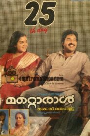 മറ്റൊരാൾ Online En Netflix