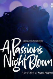 A Passion’s Night Bloom Online En Netflix