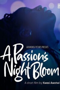 A Passion’s Night Bloom Online En Netflix
